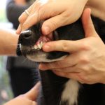 erste-hilfe-170218-06