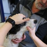 erste-hilfe-170218-07