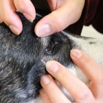 erste-hilfe-170218-08