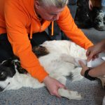 erste-hilfe-170218-10