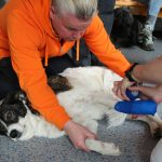 erste-hilfe-170218-11