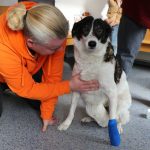 erste-hilfe-170218-12