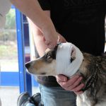 erste-hilfe-170218-14