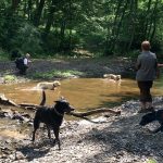 manderscheid-170603-18