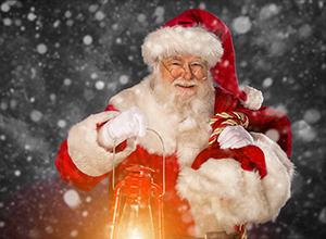 weihnachten-hundeschule-01-s