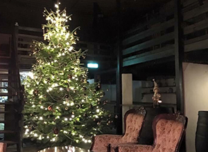 weihnachten-hundeschule-02