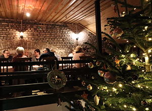 weihnachten-hundeschule-04