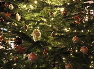 weihnachten-hundeschule-05